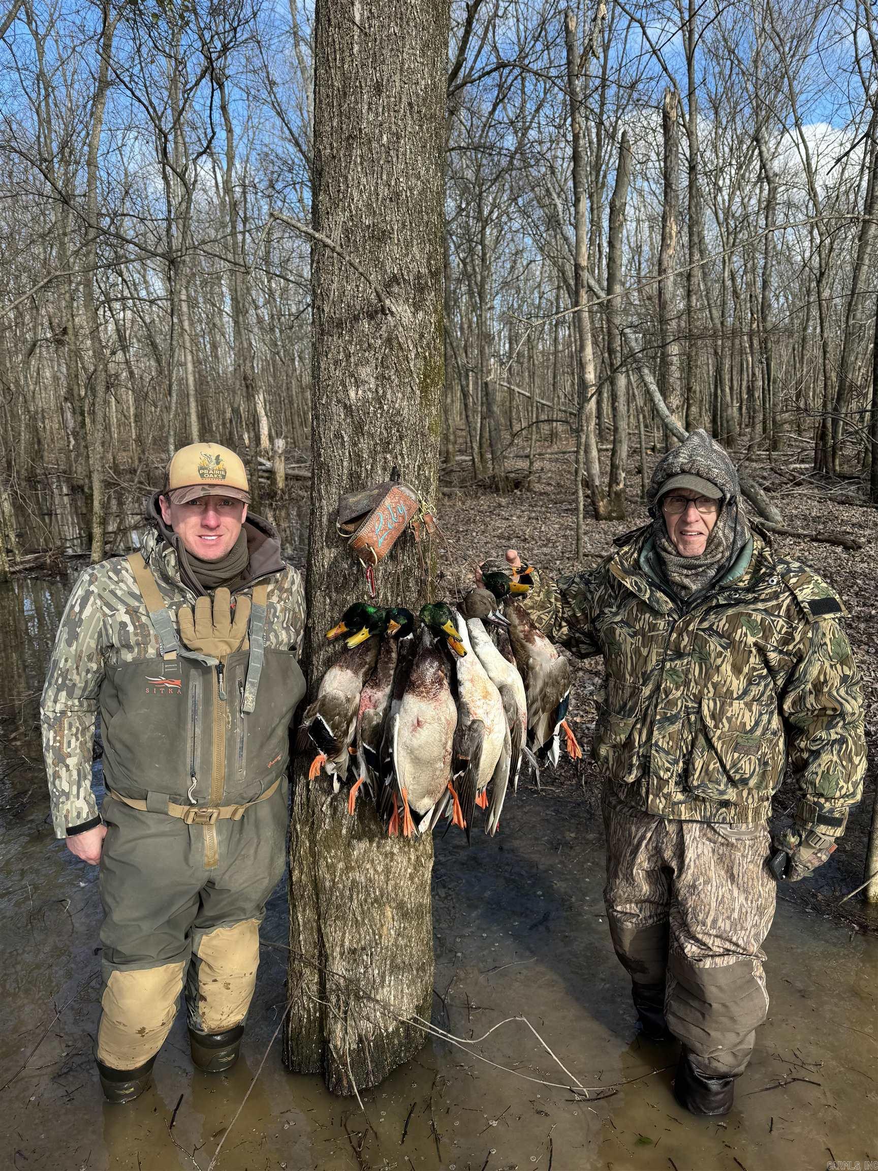 Metes & Bounds - Farm