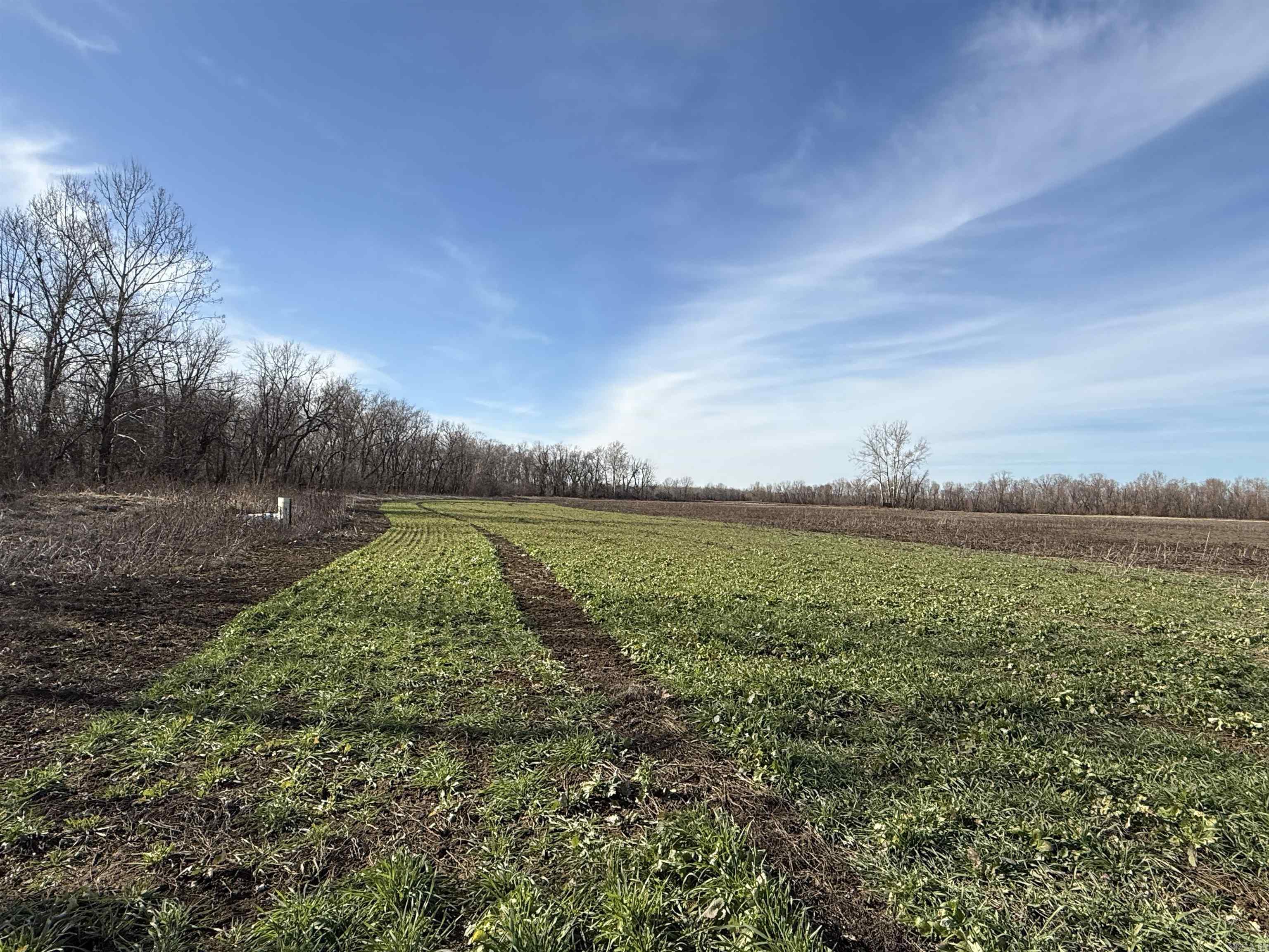 Metes & Bounds - Farm