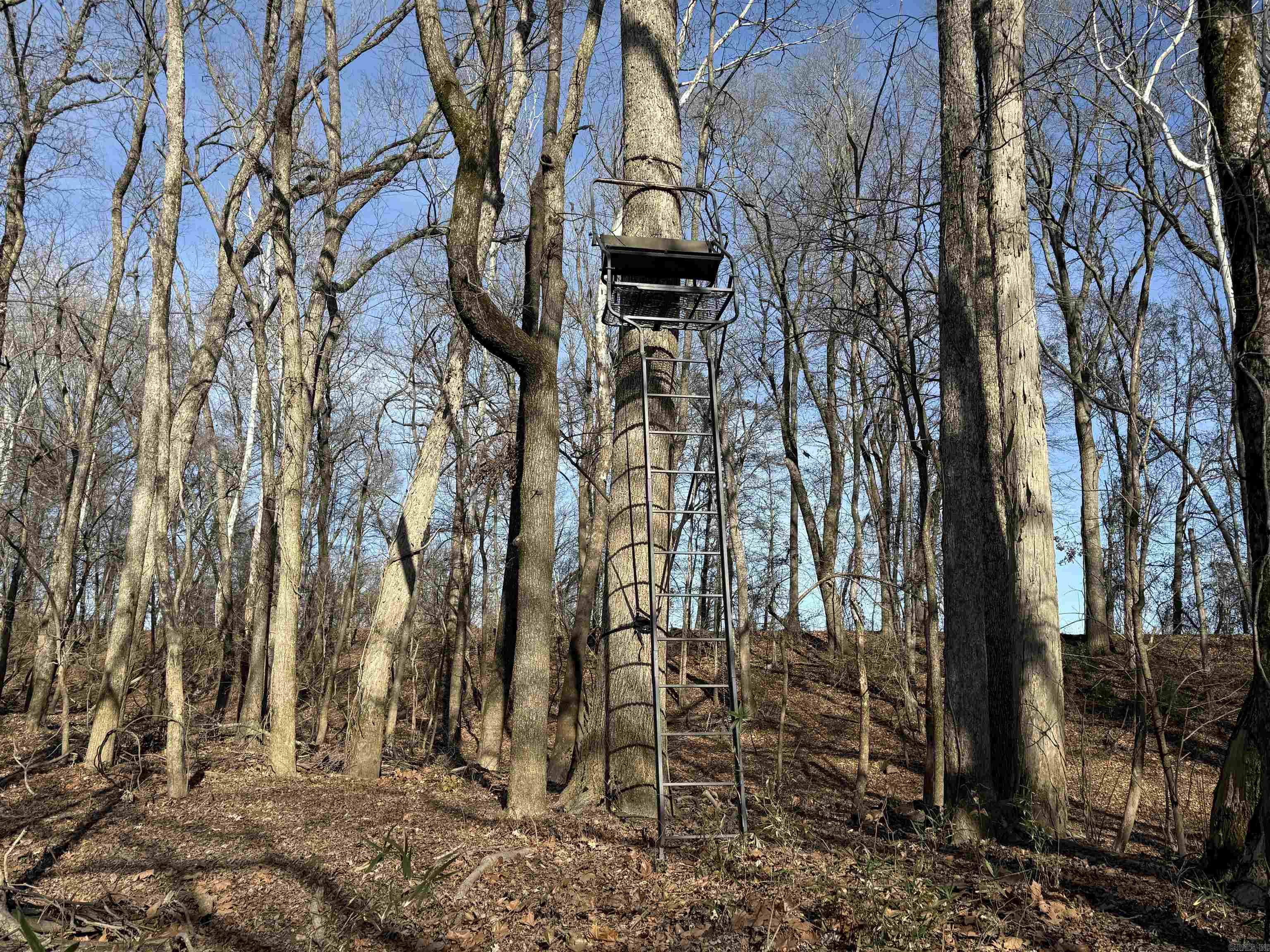 Metes & Bounds - Farm