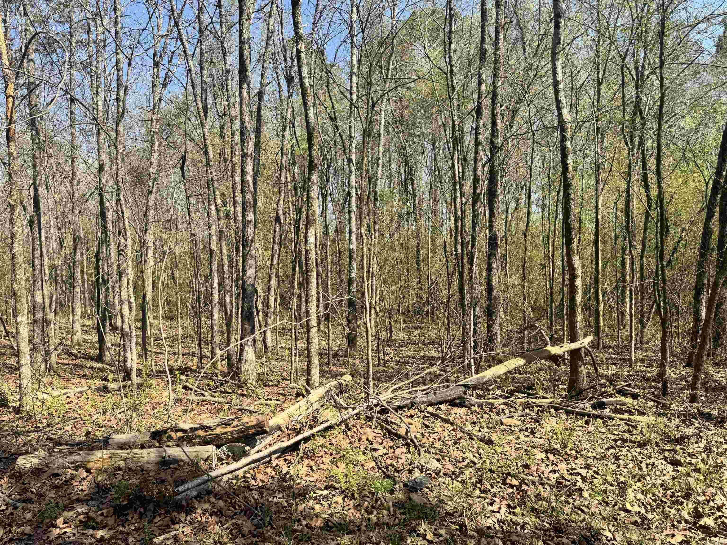 Glennaire-Powers-Thayers - Land