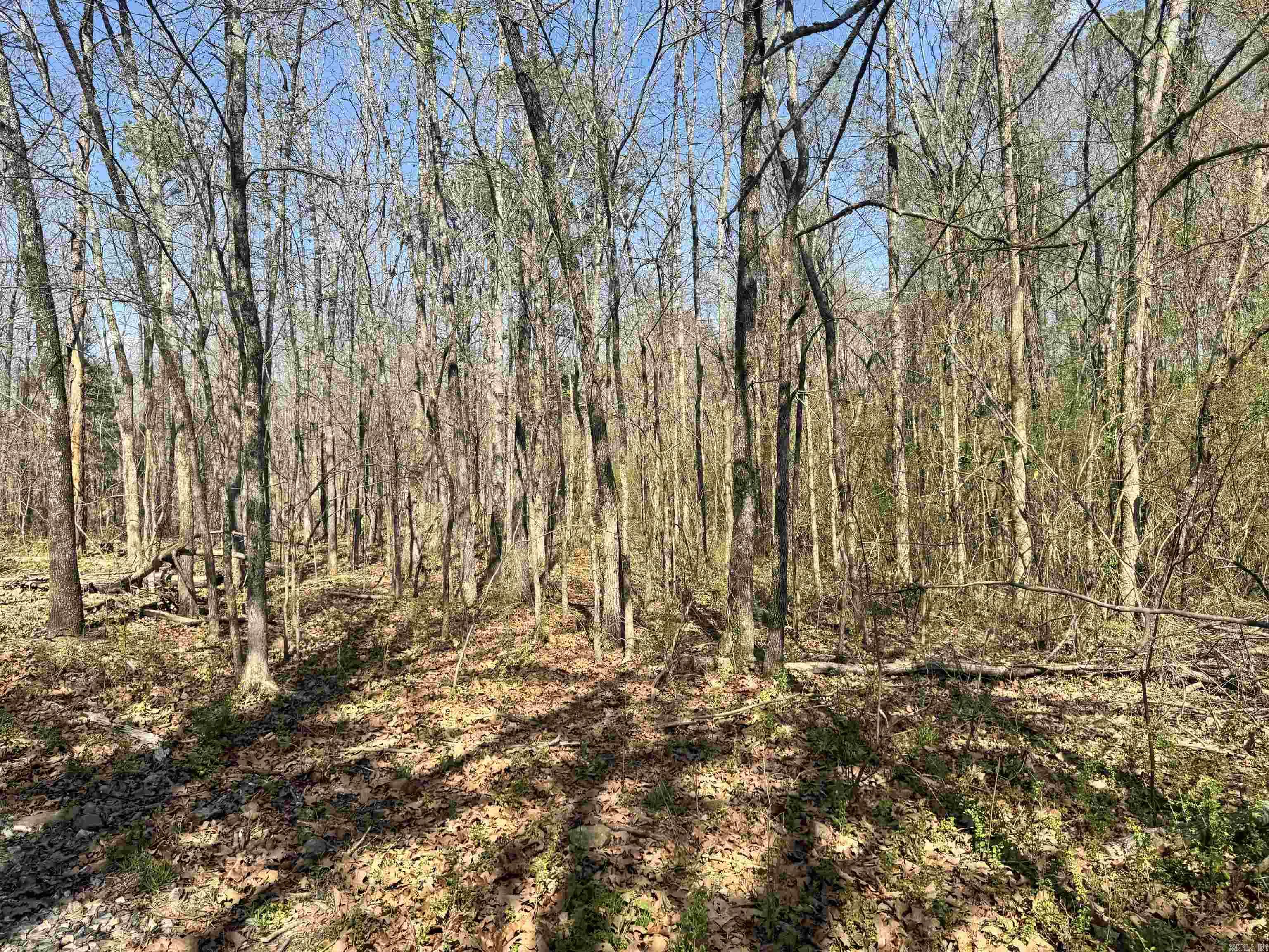 Glennaire-Powers-Thayers - Land