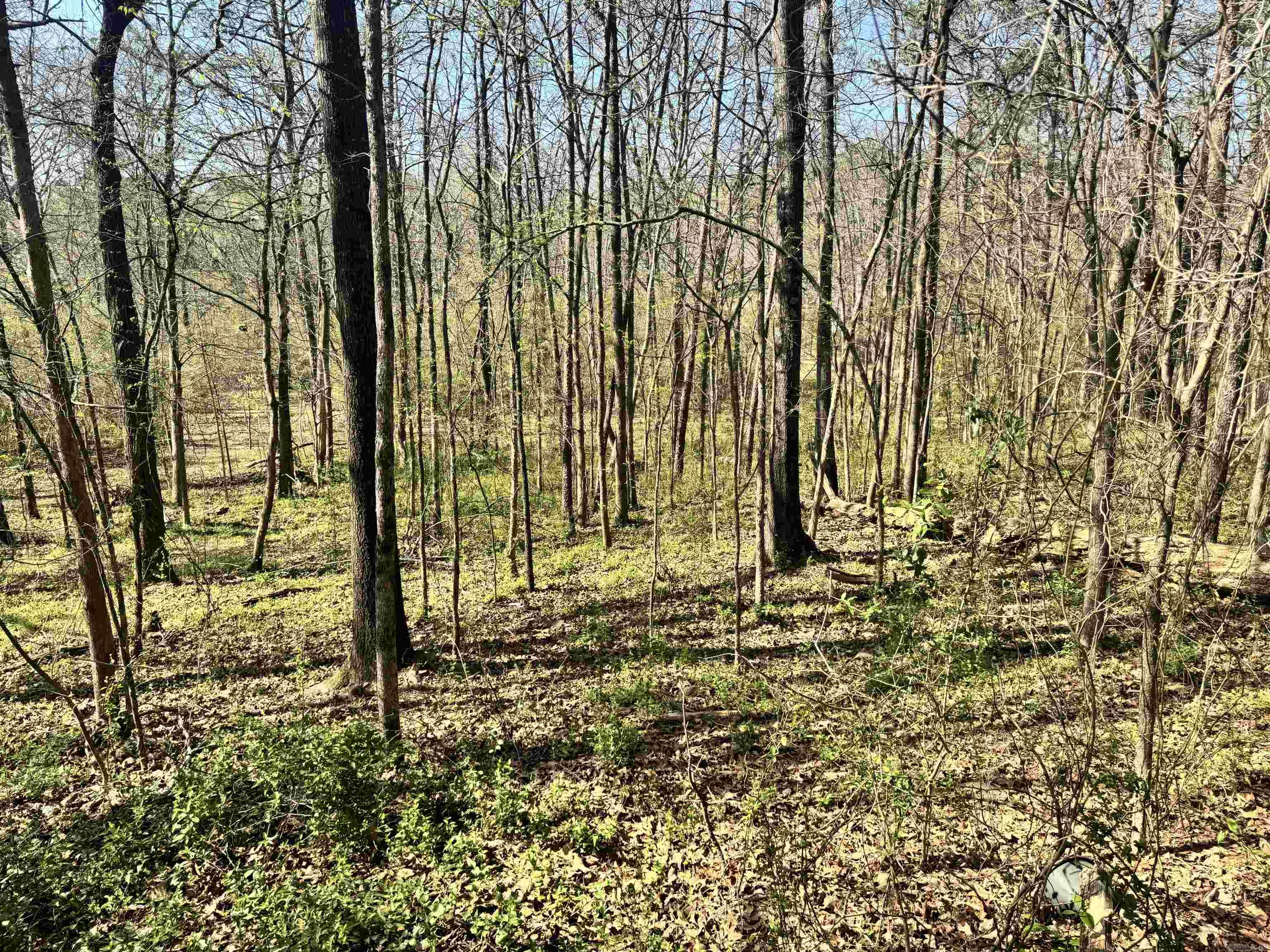 Glennaire-Powers-Thayers - Land