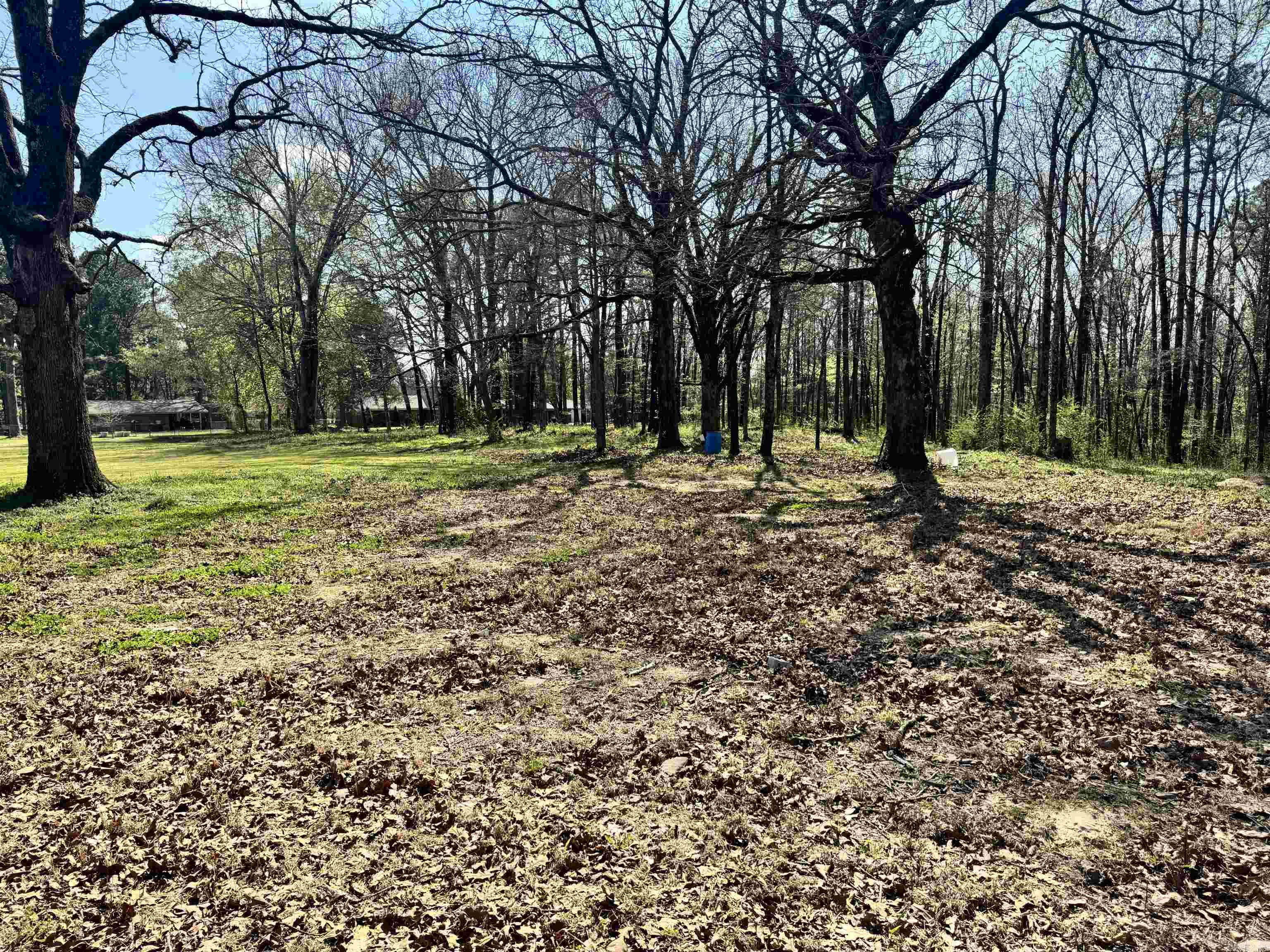 Glennaire-Powers-Thayers - Land