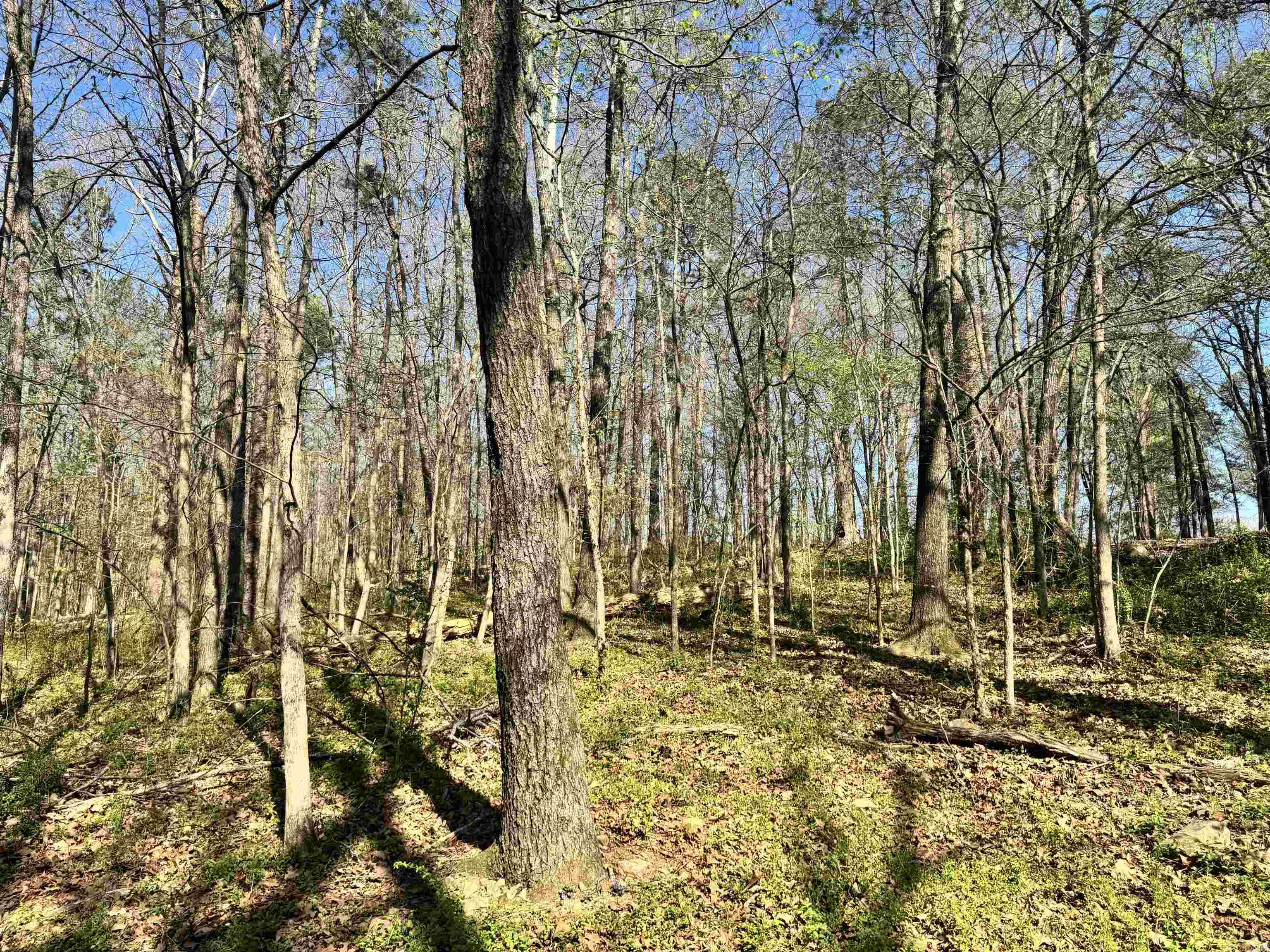 Glennaire-Powers-Thayers - Land