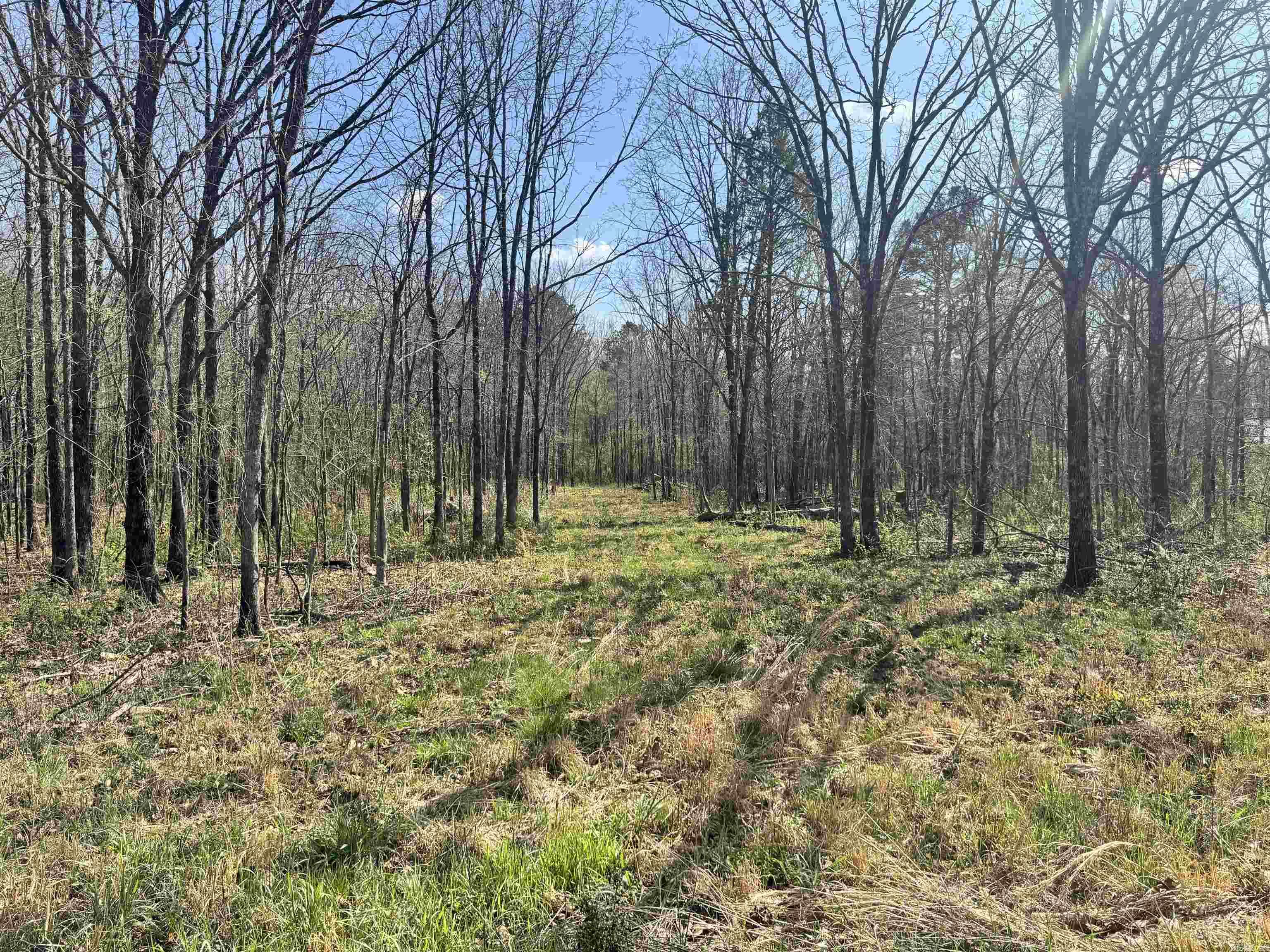 Glennaire-Powers-Thayers - Land