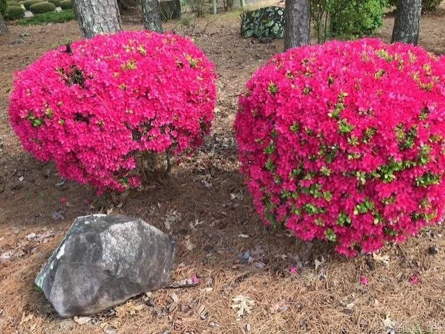 Marinero - Residential