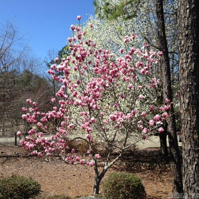 Marinero - Residential