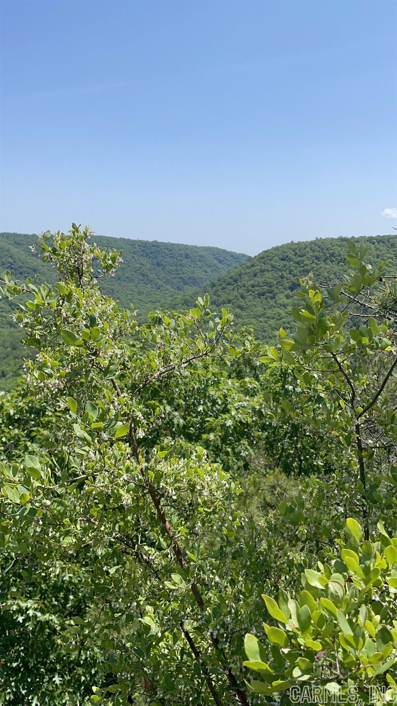 640 Acres of RECREATIONAL LAND including waterfalls, bluffs and breathtaking views. Wonderful hiking property and much of it accessible by four wheel drive. FOSSILS found in the crystal clear stream, see photos. A variety of visual wonders - you have to see it to believe it. Nice timber throughout, plus city water already present on the property. This kind of property is getting hard to find!! 1200 an acre. There is another 71 acres attached to this 640 that can be purchased only with this land.