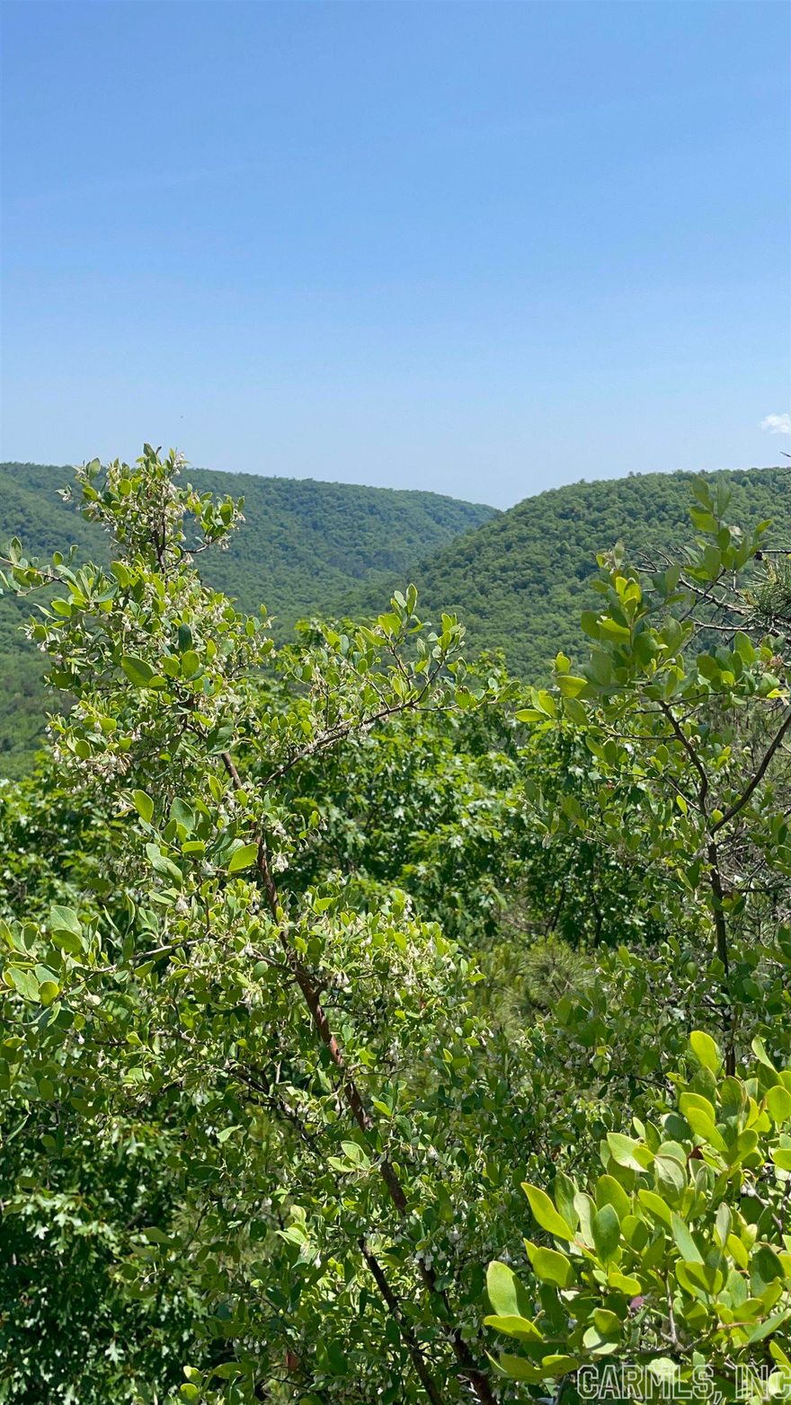 640 Acres of RECREATIONAL LAND including waterfalls, bluffs and breathtaking views.  Wonderful hiking property and much of it accessible by four wheel drive.  FOSSILS found in the crystal clear stream, see photos. A variety of visual wonders -  you have to see it to believe it.  Nice timber throughout,  plus city water already present on the property.  This kind of property is getting hard to find!! 1200 an acre. There is another 71 acres attached to this 640 that can be purchased only with this land.