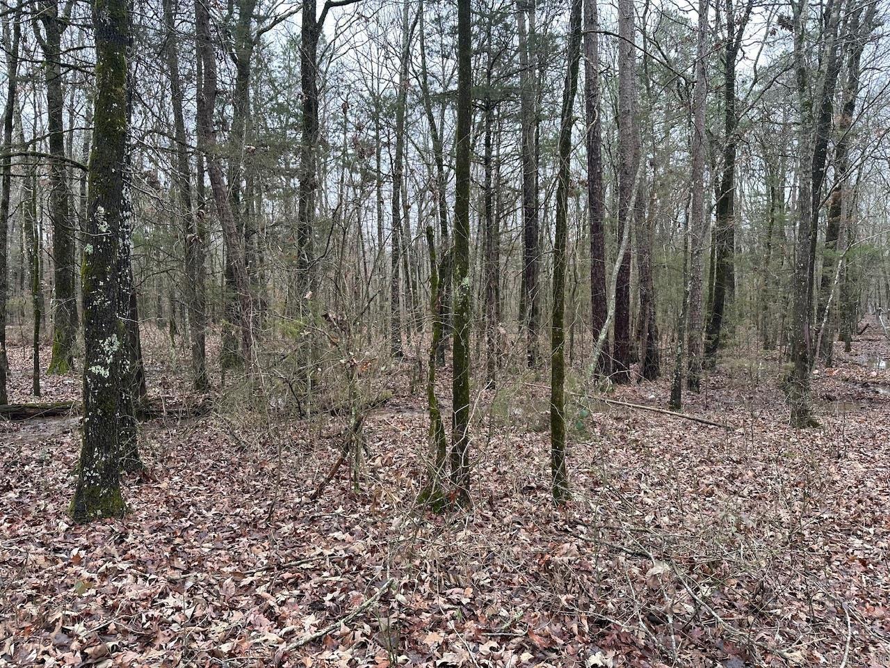 Metes & Bounds - Land