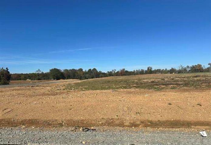 In the newly developed Avilla Acres subdivision, this cleared and level corner lot offers an amazing setting to showcase your dream home. Sitting on a little less than one and a half acres, there is plenty of room for an outdoor living area, pool and more.  The sunrise and sunset views make it one of the most desirable lots in the area; don't miss the opportunity to make it yours. No specs at this time; pre-solds only