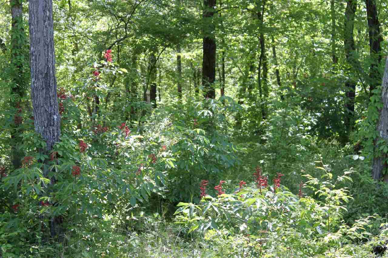 Windsong Bay Estates - Land