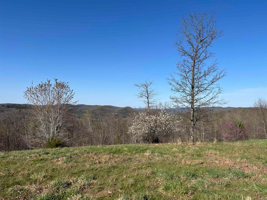 Mountain views for miles! Build your dream home on this acreage conveniently located between the Stone County Courthouse Square at Mountain View and the White River at Allison/Sylamore and just minutes from the Ozark National Forest. Water, electric, internet at the street. 1000 sq ft minimum, no manufactured housing. Additional tracts also available for purchase.