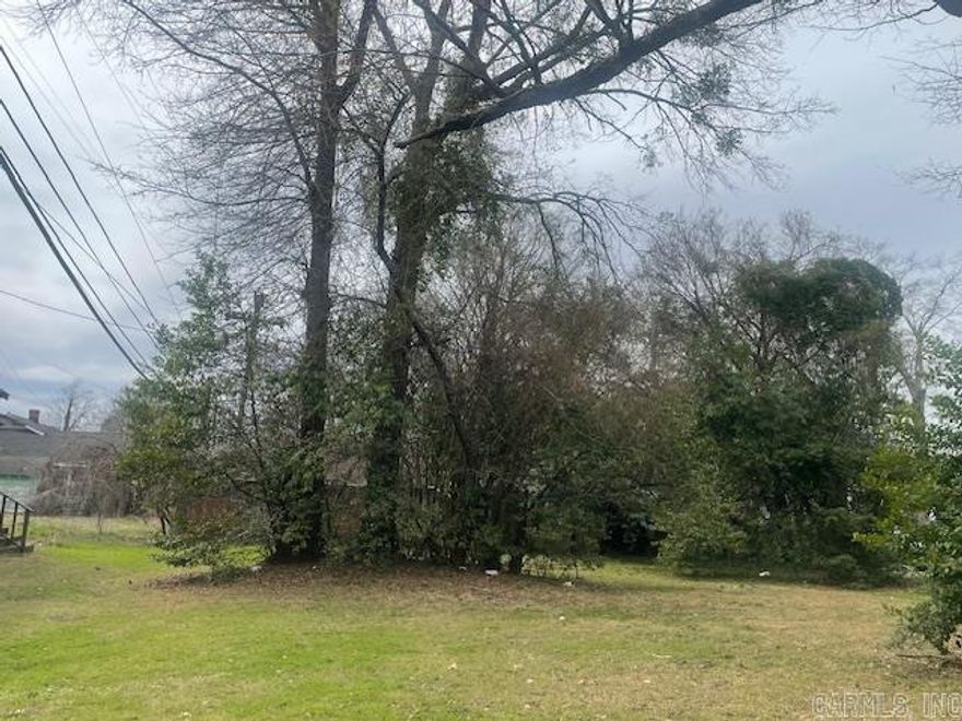 City Lot with multi-car garage at back of the property. Great place for a small multi-family build. Garage - 21x60, MASONRY - unfinished.