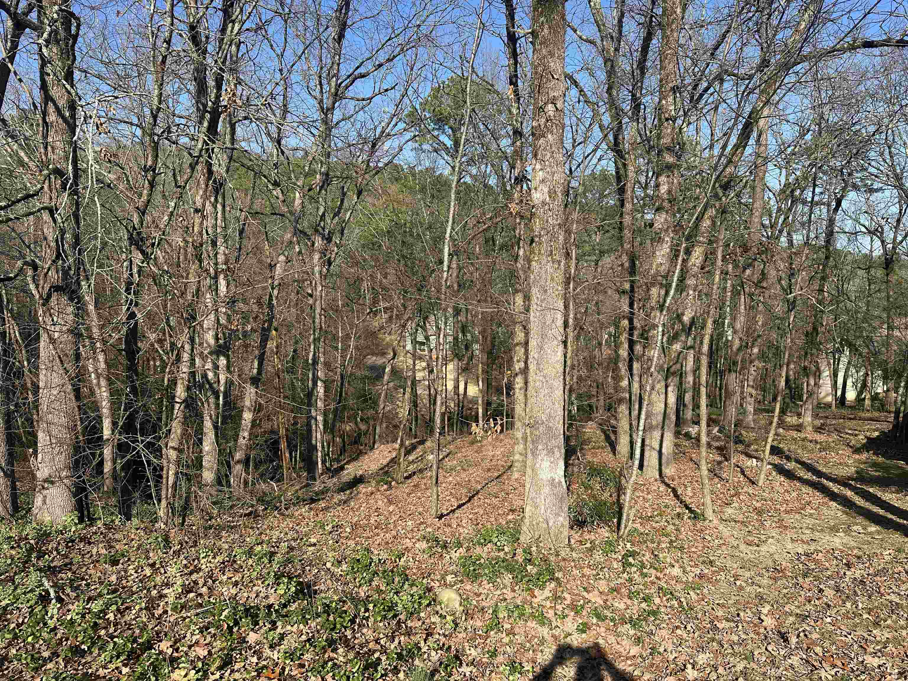 Private Wooded Lot Located at the end of the Cul-de-sac! One of the few remaining Lots in St. Charles Addn!