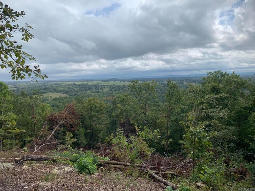 Discover the potential on this 3.33-acre tract in Greenbrier! Offering plenty of space and flexibility, this property provides endless possibilities — whether you’re ready to build your dream home, create a private retreat, or explore future development opportunities. Enjoy the peaceful setting with room to grow, while still being convenient to town amenities, schools, and shopping. Don’t miss your chance to own acreage in a desirable and growing area!