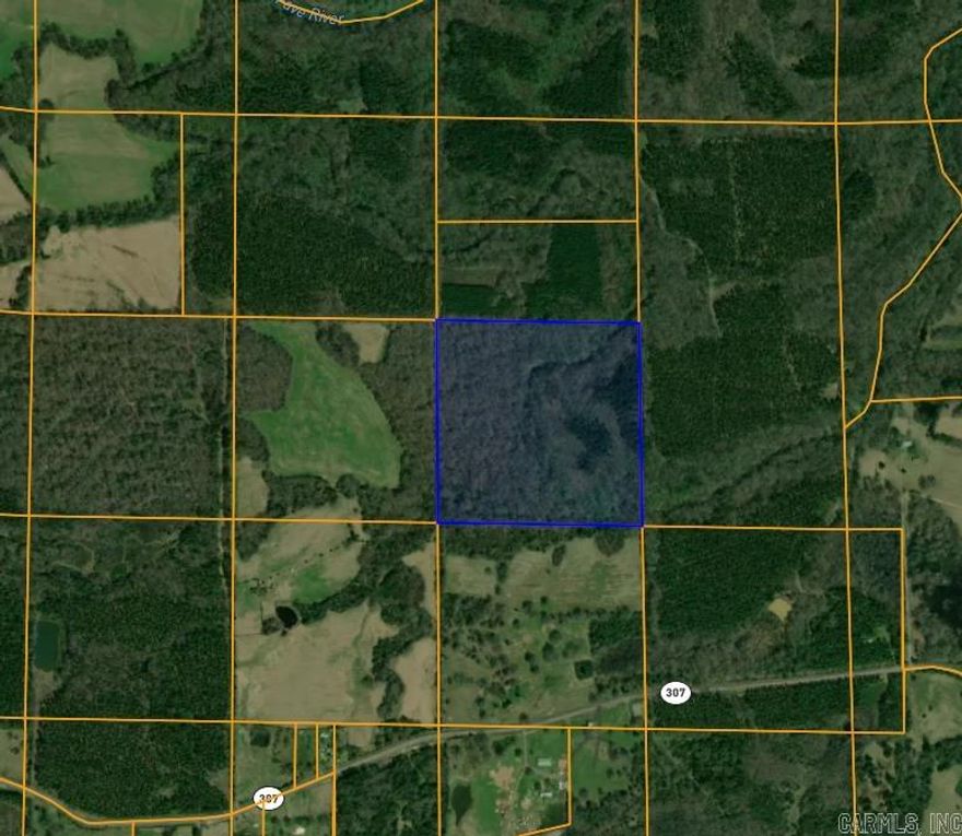 Beautiful land in Bluffton.  2 parcels for a total of 80 acres  Parcels 001-05286-000 & 001-05301-000  Longitude -94.15946 Latitude 36-07293  Also available 4 parcels for a total of 162 Acres  4 Parcels totalling 157.81 Acres