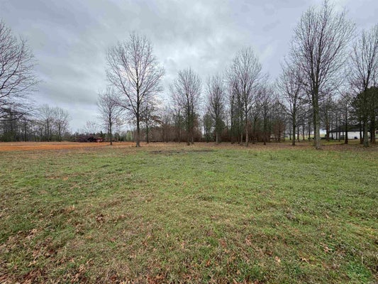 52 RW RANCH DR, GREENBRIER, AR 72058 - Image f1f5319f04fc7ddc49fd4fbae6367364/2728145702