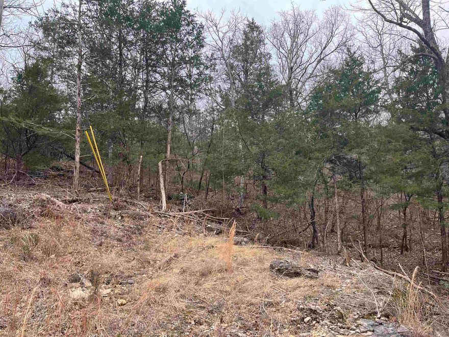 Adjoining lots setting across the road for beautiful Lake Chanute. Common Property is along the back side of the lots. Lots have a slight slope so your dream home would set overlooking the lake. A third lot is available with one lot in between.