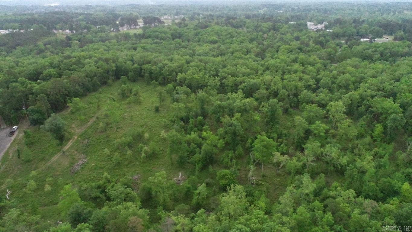 Lake Hamilton Outside - Land