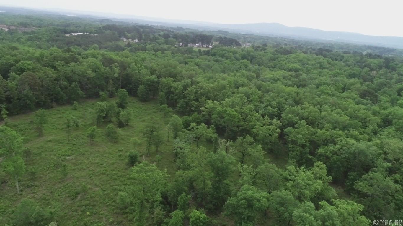 Lake Hamilton Outside - Land