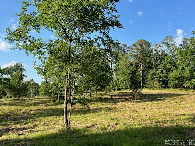 Lake Hamilton Outside - Land