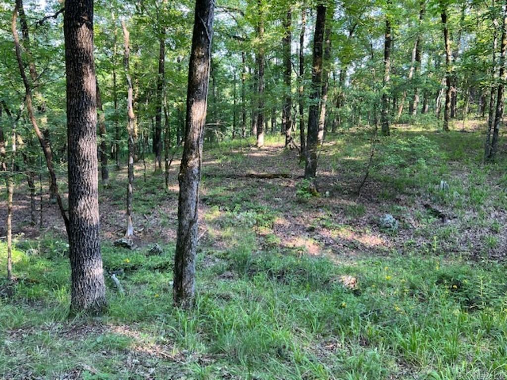 Lake Hamilton Outside - Land