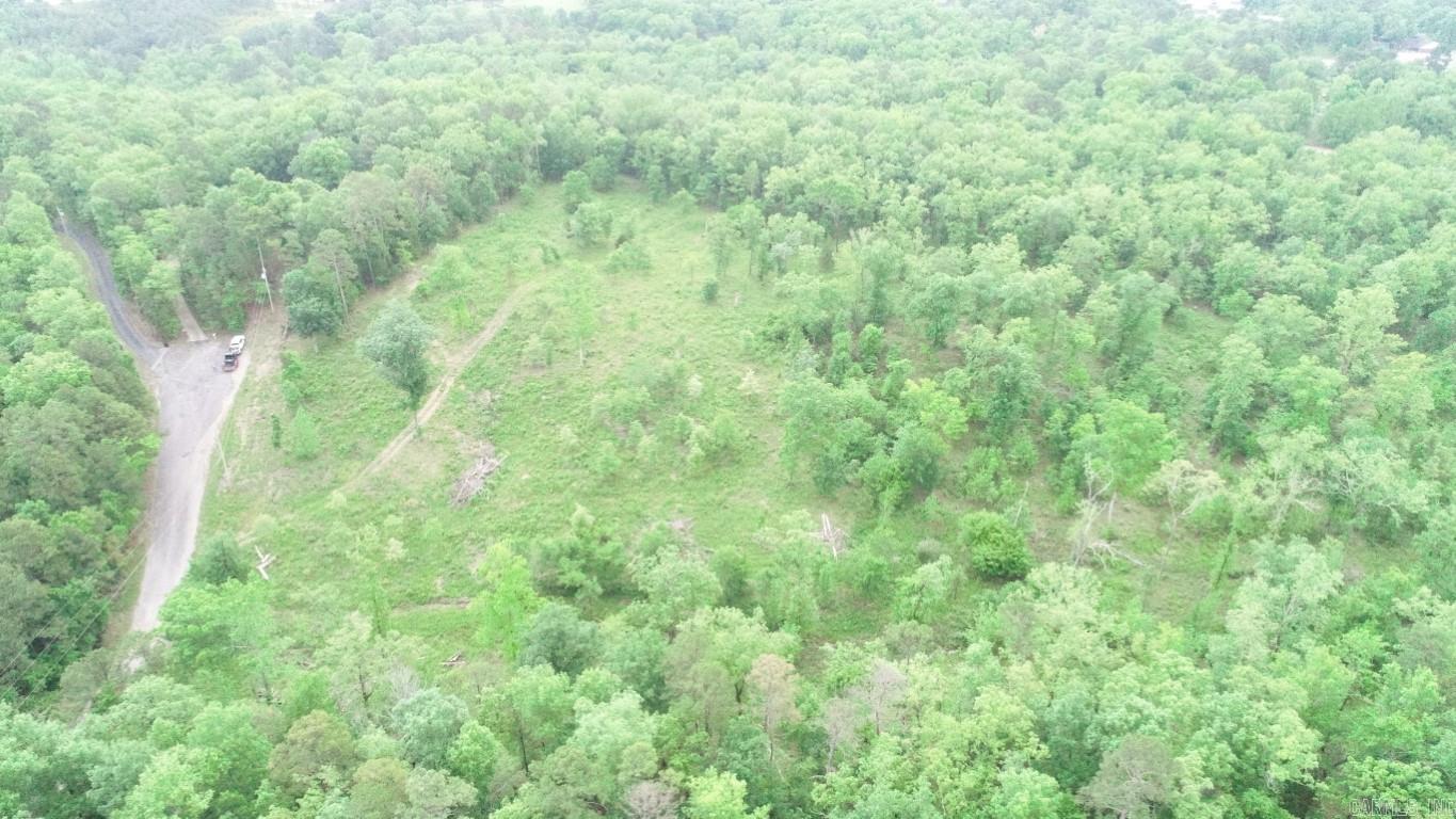 Lake Hamilton Outside - Land