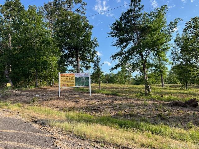 Lake Hamilton Outside - Land