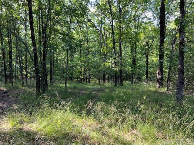 Lake Hamilton Outside - Land