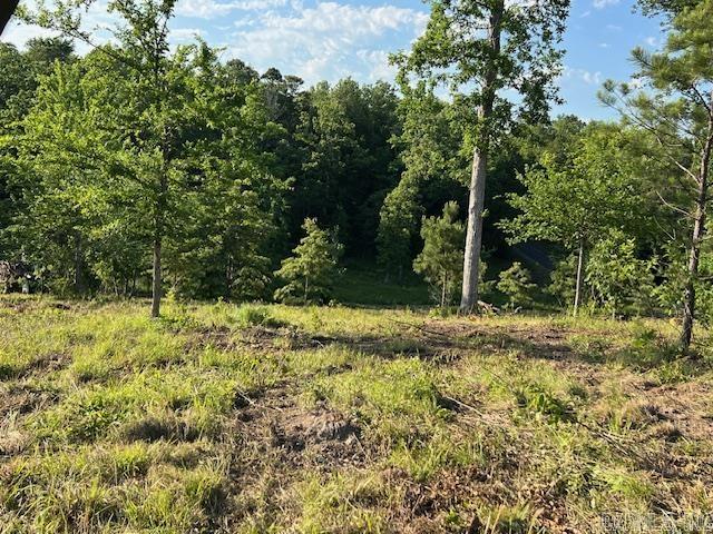 Lake Hamilton Outside - Land