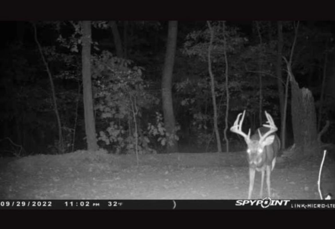 Cascade Mountain Estates - Land