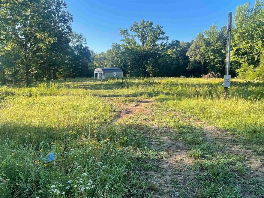 OH MY WHAT A BUY!!! This beautiful 10 acres of land comes with all your utilities already on the property and a tiny house to boot! Washer and dryer in tiny house will convey! Nestled just outside the city limits of one of the nicest little towns (Vilonia) in the state, this property sits perfectly perched between city life and country life! Oh, and there's world class whitetail deer on the property as well. They may be accompanied by some turkeys also! COME SEE IT WHILE IT LASTS!