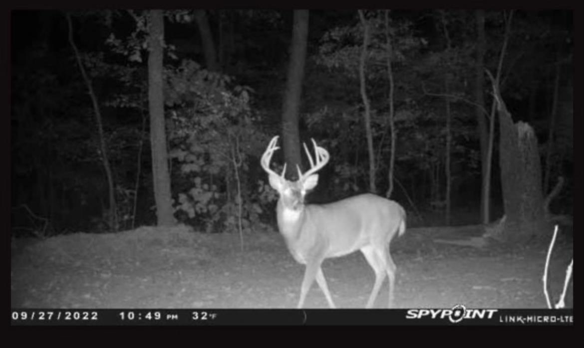 Cascade Mountain Estates - Land