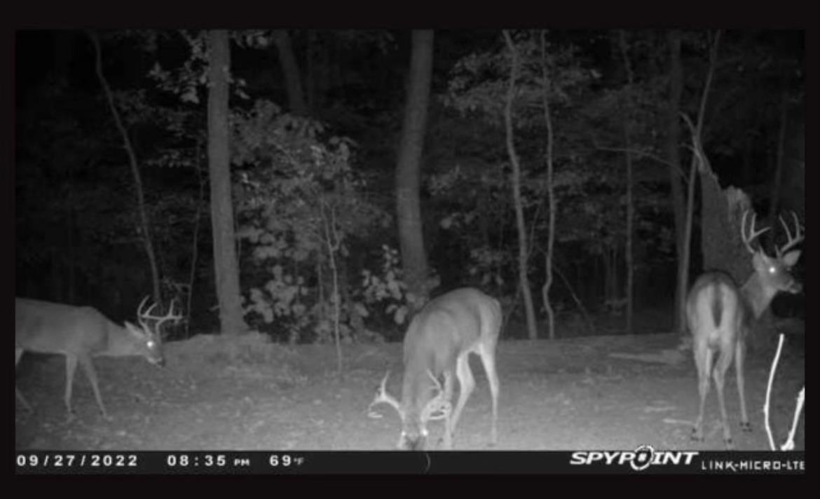 Cascade Mountain Estates - Land