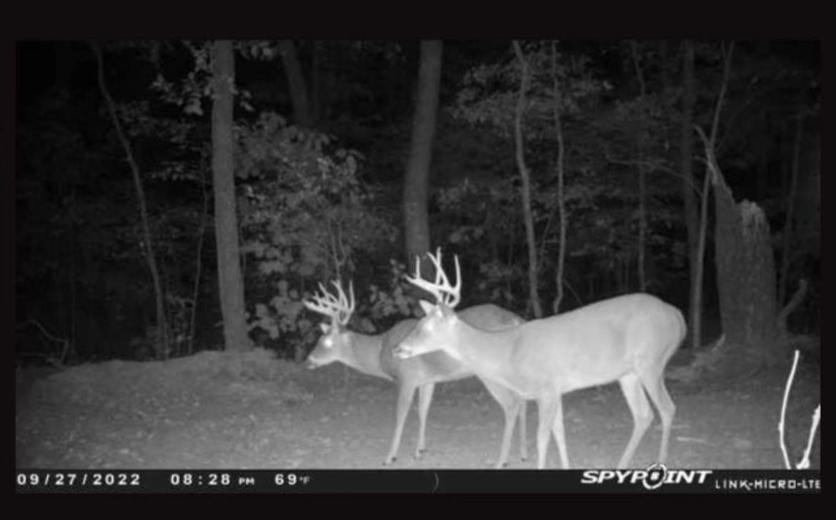 Cascade Mountain Estates - Land