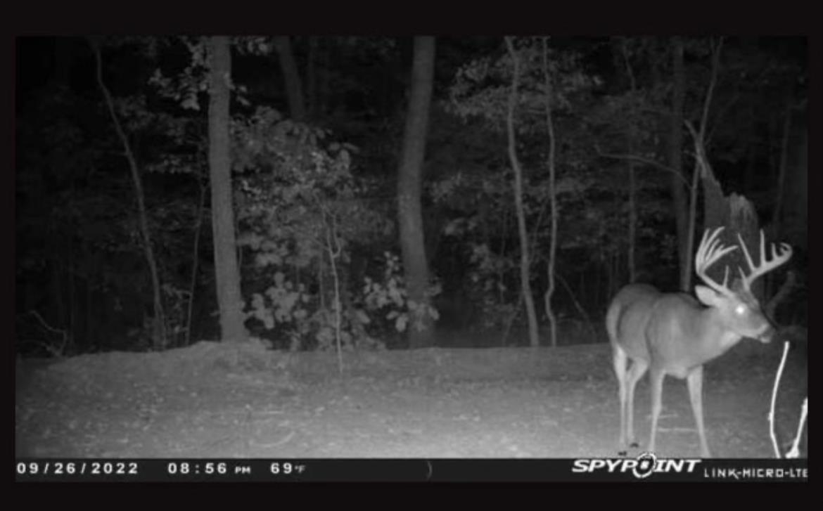 Cascade Mountain Estates - Land