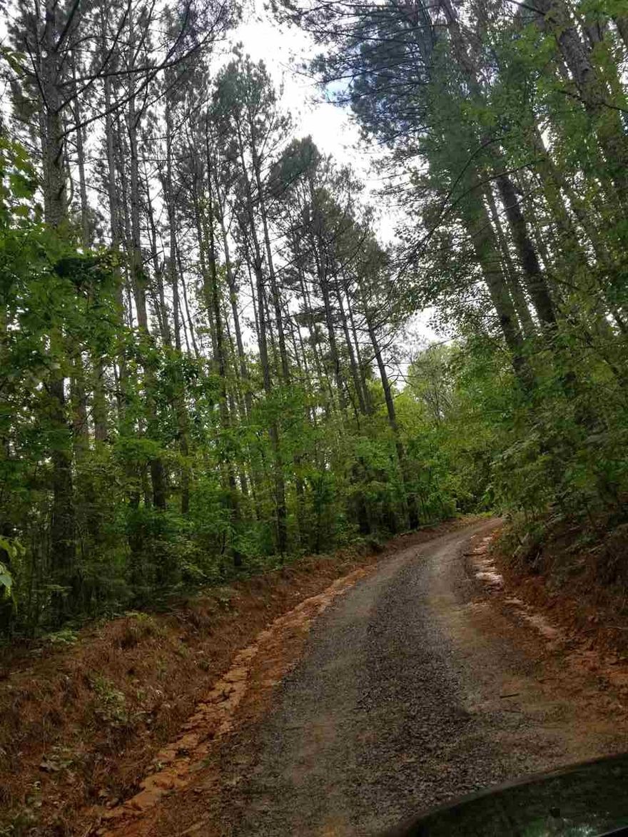 10 acres on JTK road. Easy Access, JTK dips in and out of this 10 acre tract. Build a Cabin and hunt your wooded vista view.  Great land for Hunting or wildlife watching, or just a great place to get away while still being close to town.  There are no covenants or dues to this land. Out of City Limits too!
