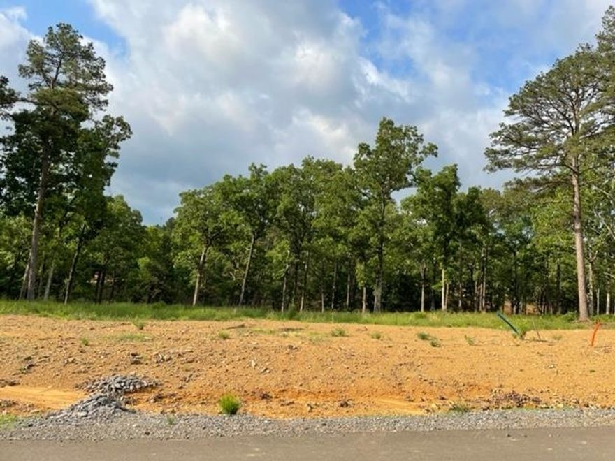 Beautiful lot to build your dream home in Conway's newest subdivision. Top pf Round Mountain.