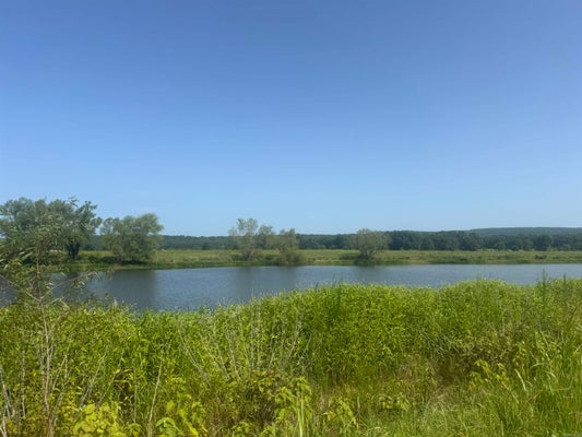 13 RIVER LN, HEBER SPRINGS, AR 72543 - Image f23744ba00a5f08fc3b5196fe3b2fa9f/116942996