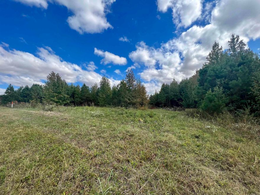 Prime Vacant Land with 6.45 Acres on Hwy 49 in Brookland... Discover an incredible opportunity with this 6.45-acre parcel of vacant land, perfectly positioned along the highly sought-after Hwy 49 near Brookland. Boasting exceptional highway frontage, this property is a canvas for your dream investment or development. The location and blank canvas are ideal for commercial, residential, or mixed-use development.   Whether you envision a thriving business, a residential community, or a mixed-use development, this vacant land offers the canvas you've been searching for. Act now to secure this exceptional opportunity on Hwy 49 near Brookland. Don't miss your chance to turn your vision into reality. Contact us today for more information and to schedule a viewing!