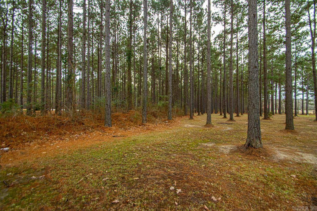 OLIVIA ESTATES - Residential