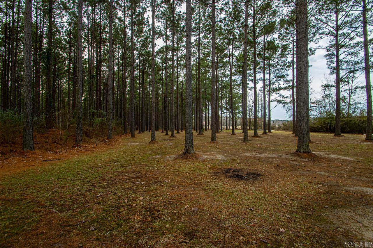 OLIVIA ESTATES - Residential