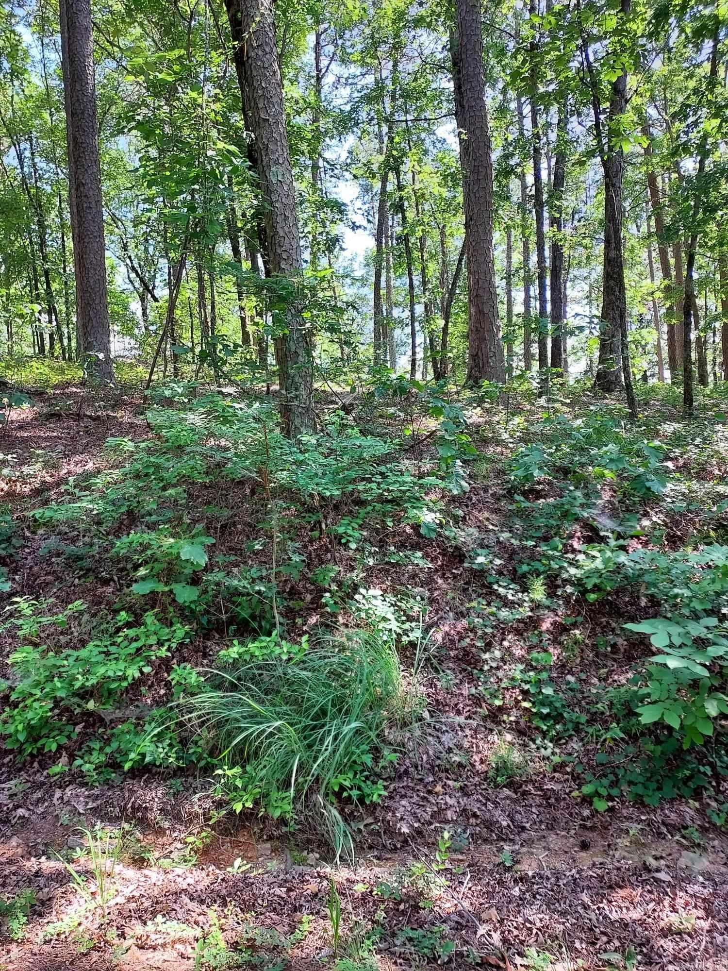 Build your dream home here......be among mountain view homes. Very buildable lot surrounded by mountain and valley views. Beautiful custom built homes in the neighborhood. Hot Springs Village Property Owner Association has a new member buy-in fee of $300.00 due and collected at closing.