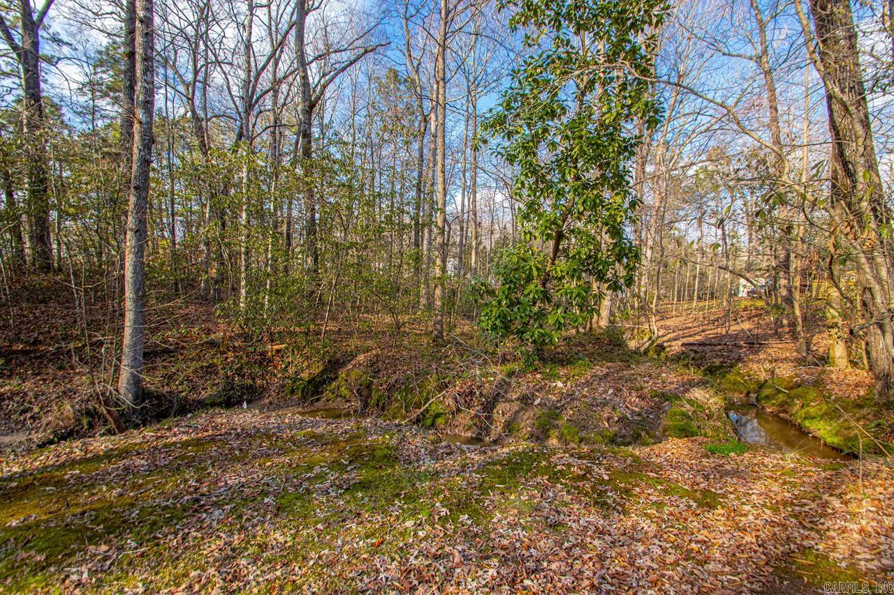 Maple Creek-Silver Maple - Residential