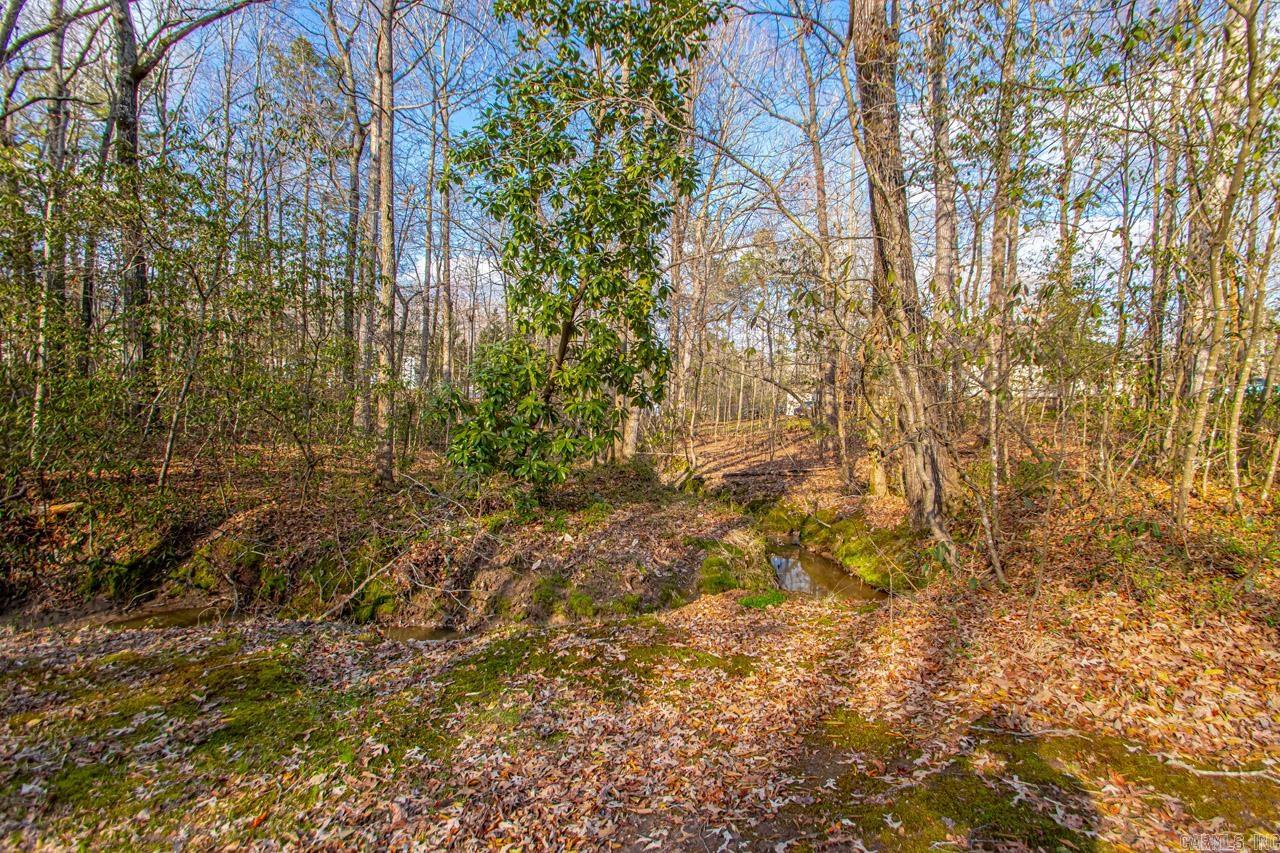 Maple Creek-Silver Maple - Residential