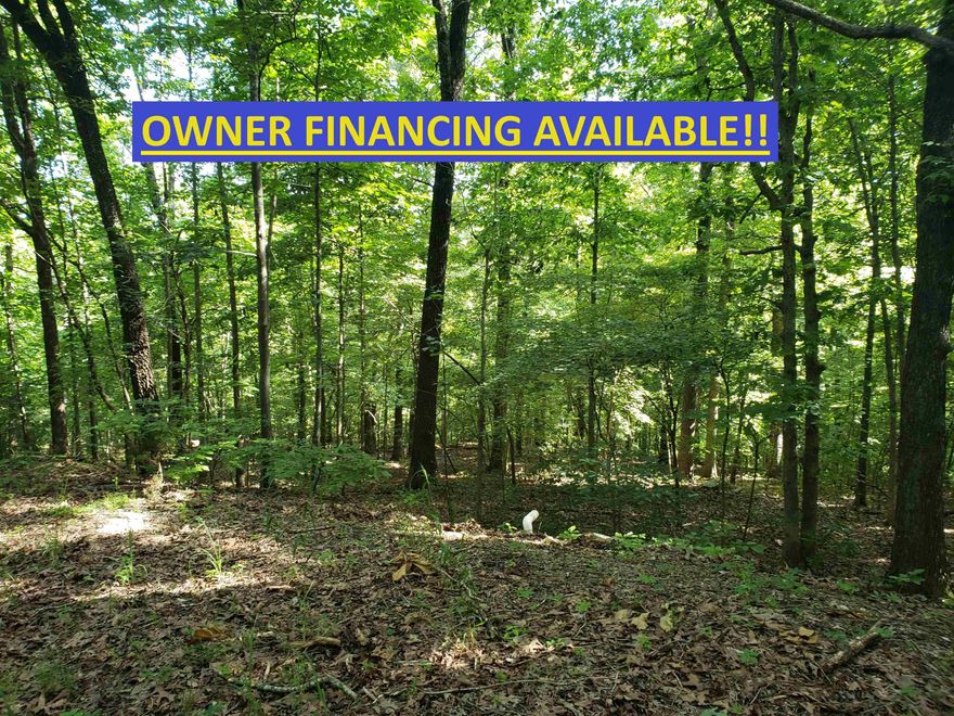 Here is a wonderful, wooded lot in the Fulton County side of the Cherokee Village. Great location very secluded but near Lake Omaha and the Omaha Center and not far from the South golf course as well. With this lot comes access to all the amenities of Cherokee Village such as the seven lakes, the Southfork river and Two 18-hole golf courses. Don't miss your opportunity to own your own little slice of "Heaven on Earth" in beautiful Cherokee Village. Come for a visit and stay for a lifetime.       This lot is 1 of 7 that can be purchased individually for $2500.00, or  purchase all 7 as a package deal for a discounted price of $2136.00 each. ------See Agents Remarks for information on the other 6 lots------   Owner financing is possible with acceptable down payment and terms.  Owners are also open to possible trades.