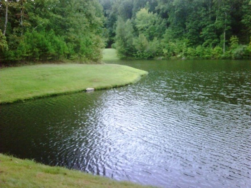 Best lake view lots on Lake Hamilton!!