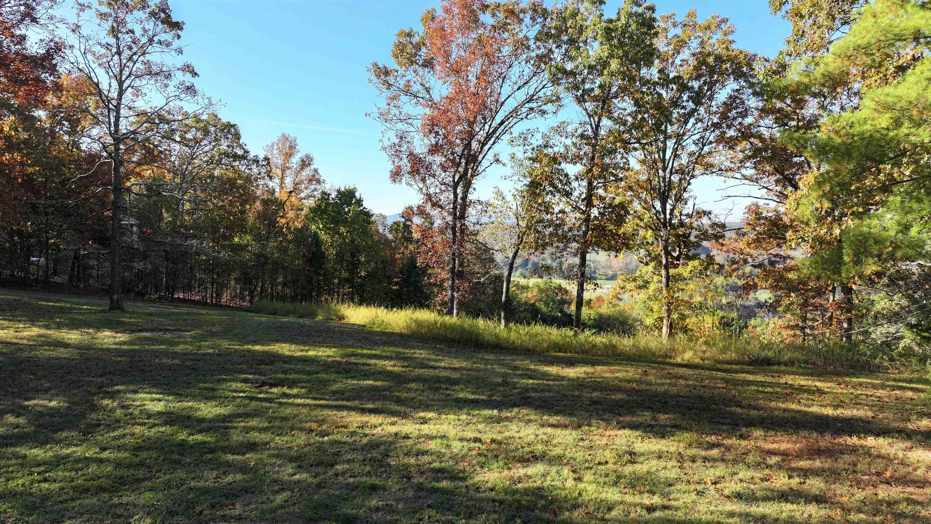 BIG TREE SUBDIVISION - Residential