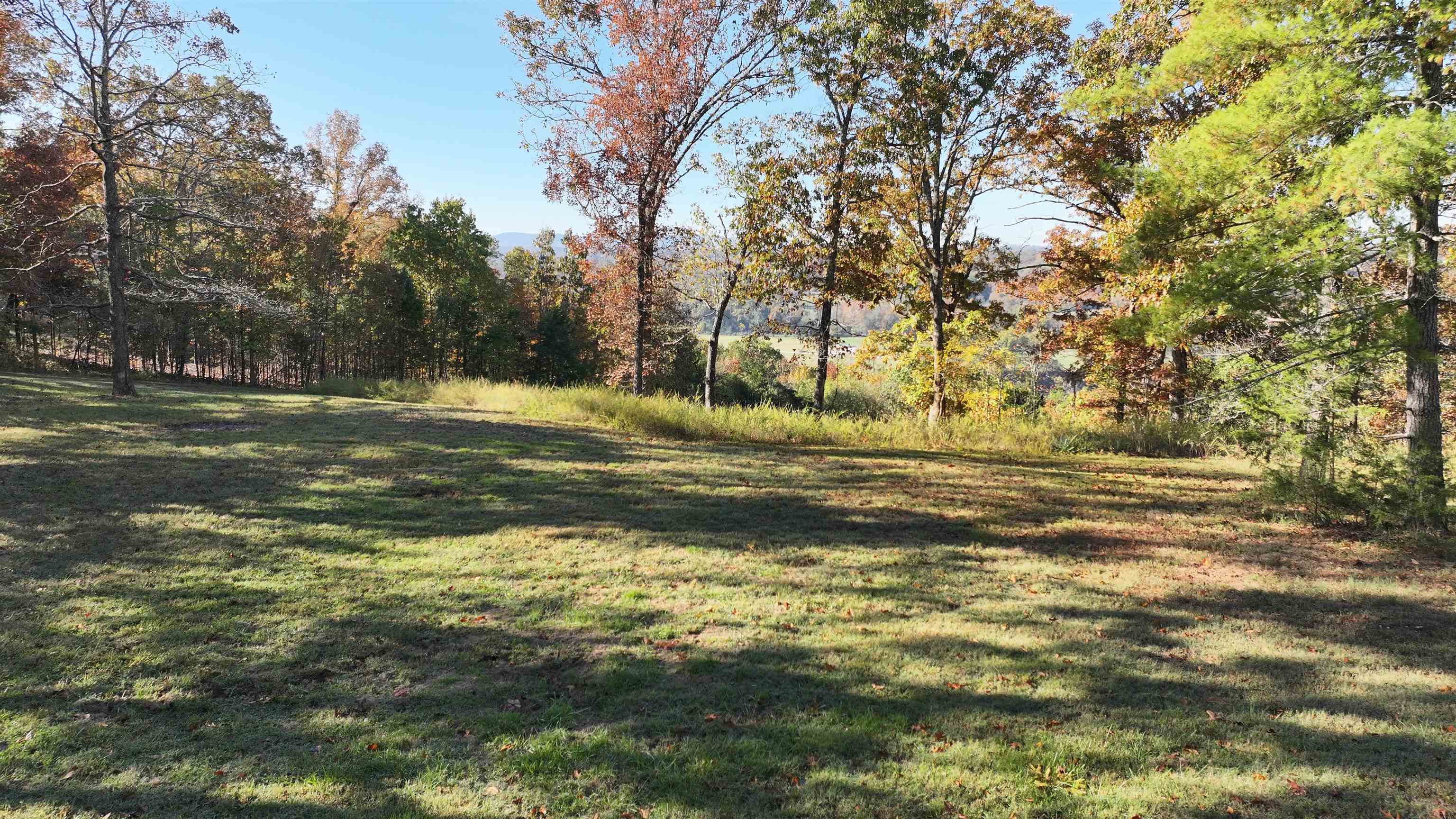 BIG TREE SUBDIVISION - Residential